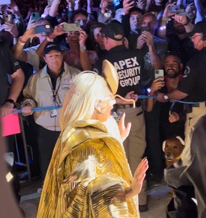 Gaga Crave 🌷 tweet media