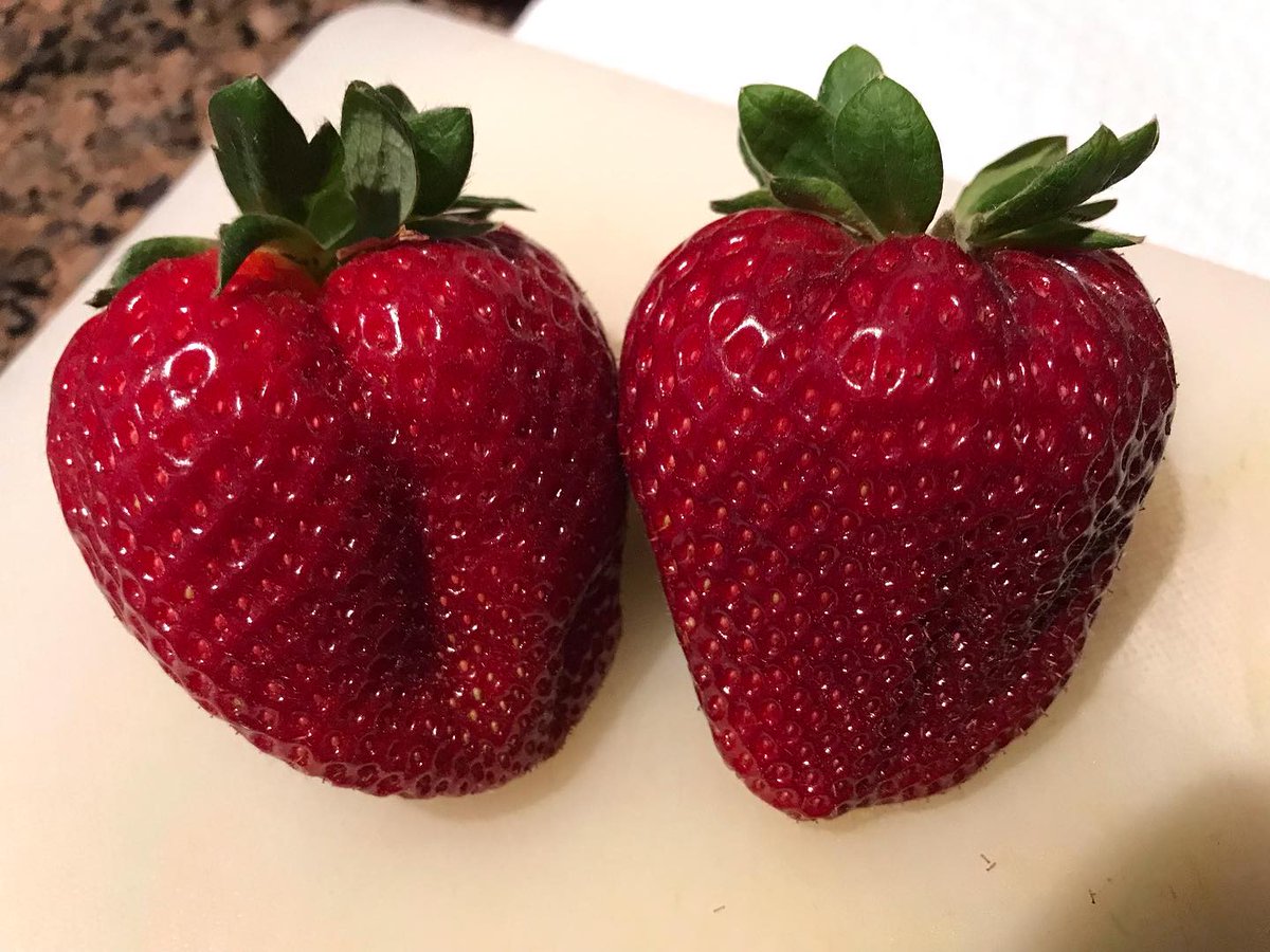 ❤️‍🩹Rocco DiBari❤️‍🩹 tweet media