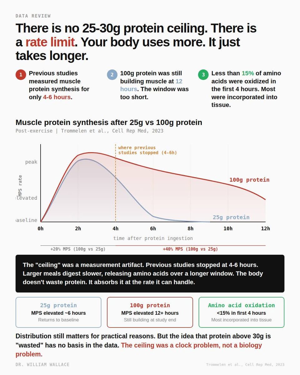 William A. Wallace, Ph.D. tweet media