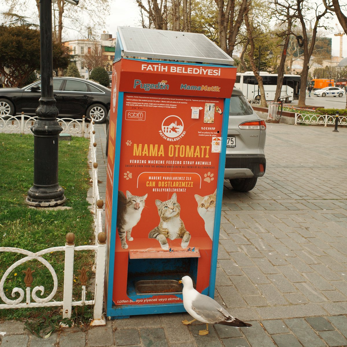 ᾶσχτ (âsht) tweet media