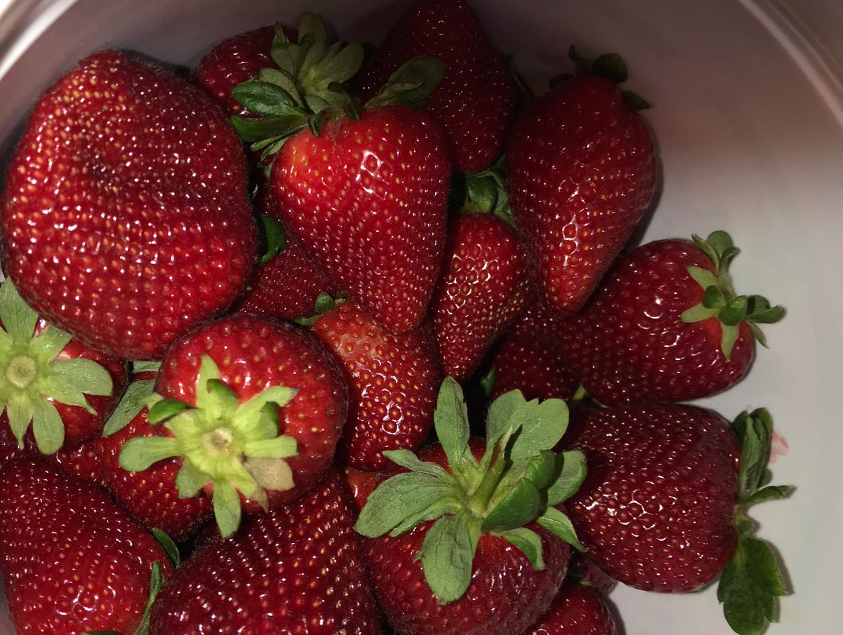 ❤️‍🩹Rocco DiBari❤️‍🩹 tweet media