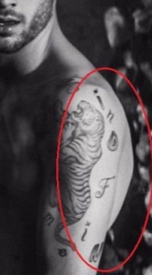 ZAYN MALIK PROMO 𓊍 tweet media