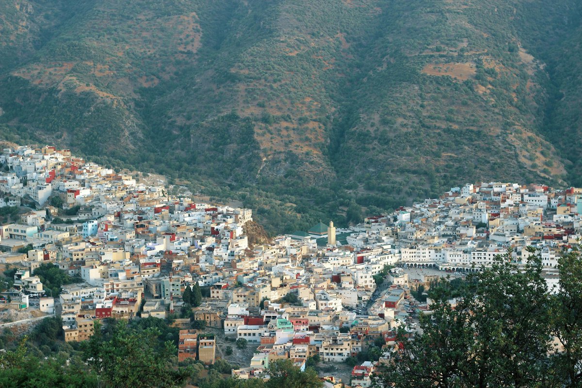 Alayah  Lowe tweet media