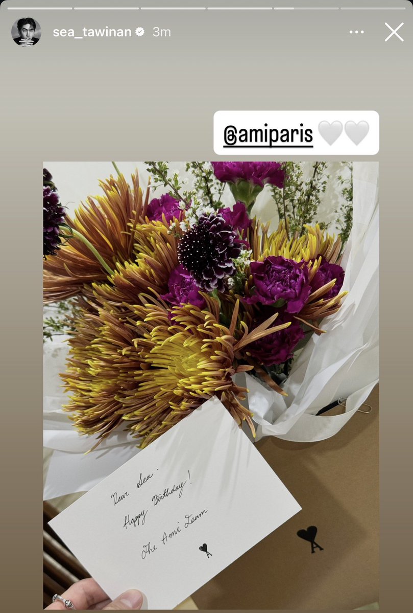 marmoris. tweet media