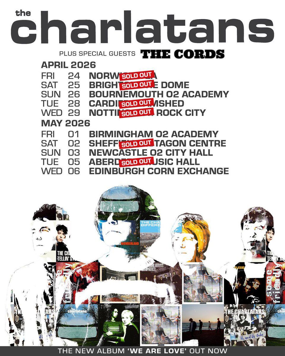 Tim Burgess tweet media