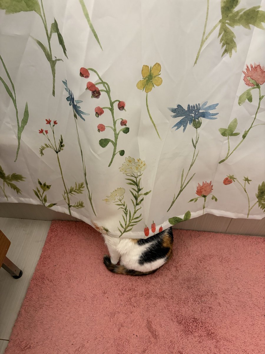 appycot jam tweet media