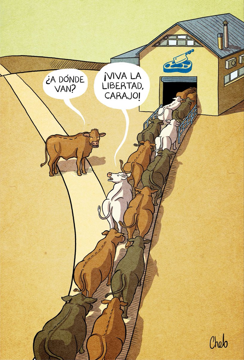 <a href="/TugoNews/">TUGO News</a> Por lo menos no gobiernan los k ajajaja y no puede alquilar,y garronea de los padres.
Larga el odio gorila crota cagada de hambre