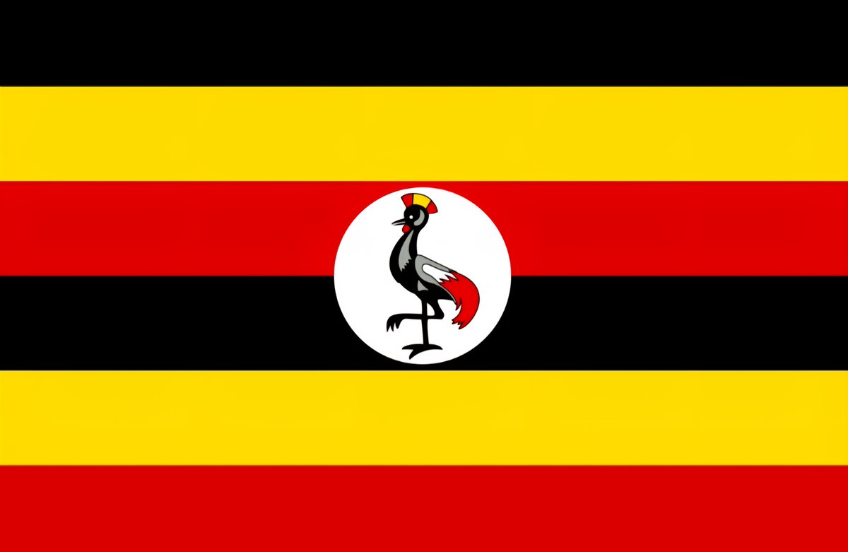 Africa Today Media Group tweet media