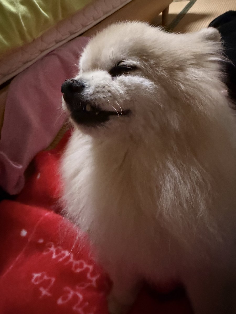 なかの tweet media