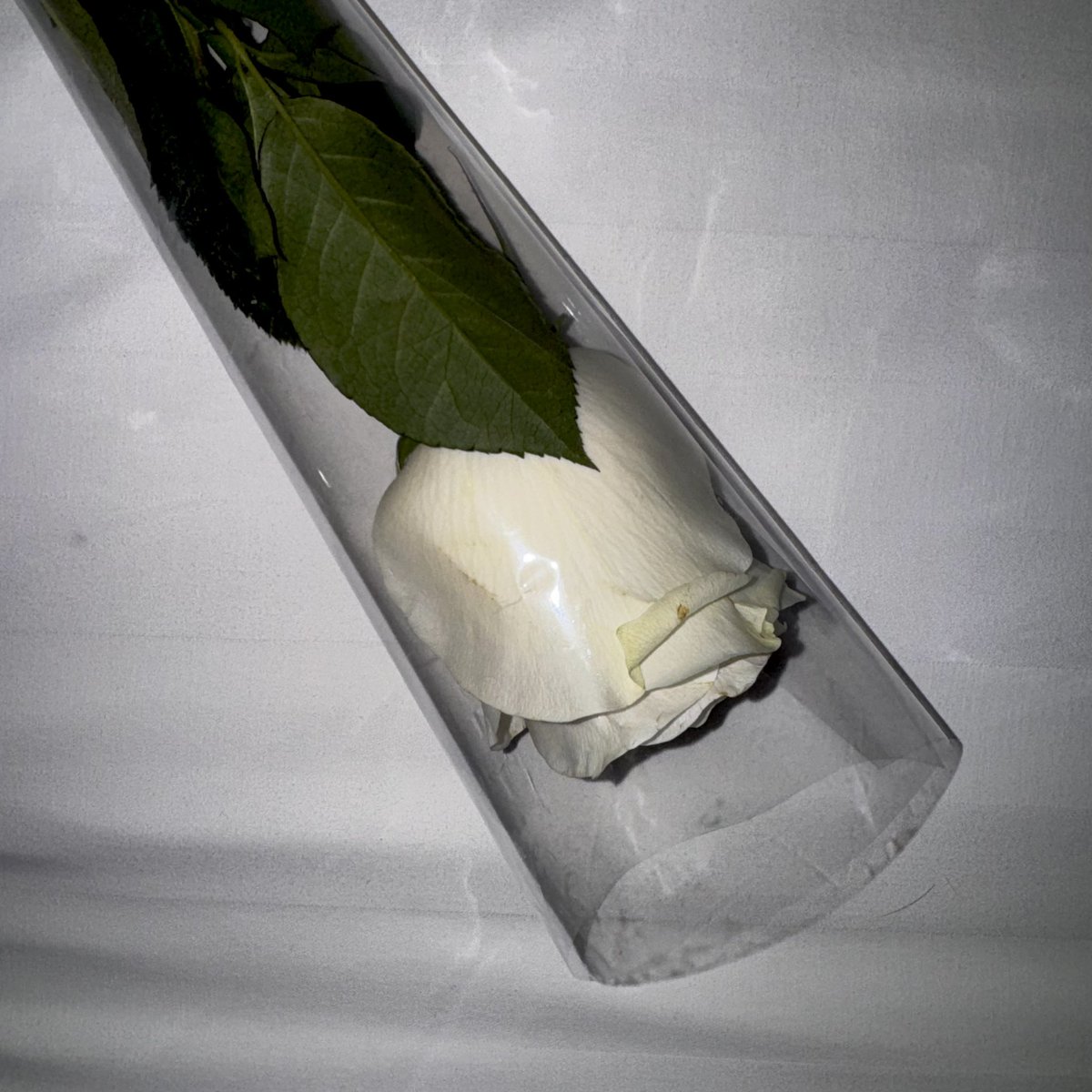 I miss you in the quiet spaces between my days, where your absence feels the loudest 🤍