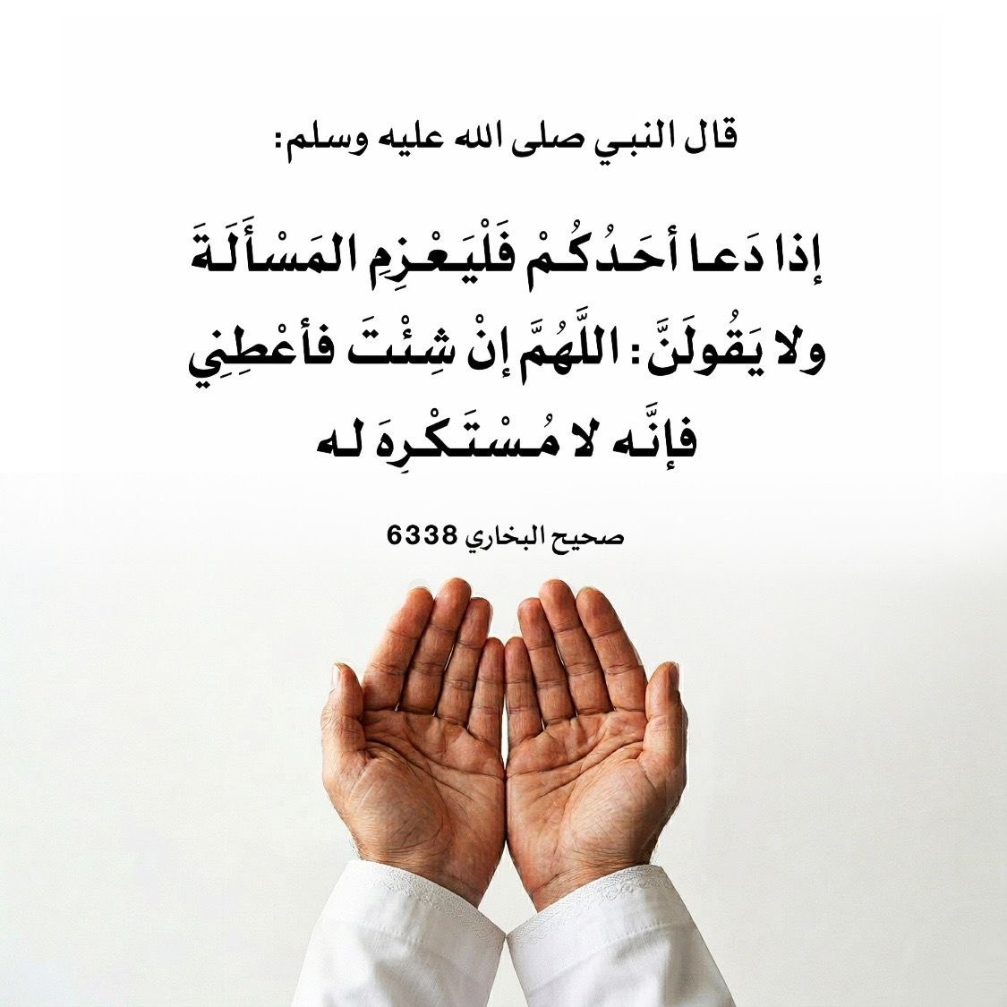 11hani11's tweet photo. اللهم صل وسلم وبارك على نبينا محمد وعلى آله وصحبة اجمعين عدد ماذكره الذاكرون وعدد ماغفل عن ذكره الغافلون 🍃

أكثروا من الصلاة عليه 
في ليلة الجمعة ويومها 🤍

#صلوا_على_النبي_محمدﷺ https://t.co/WHxiQjZdyl