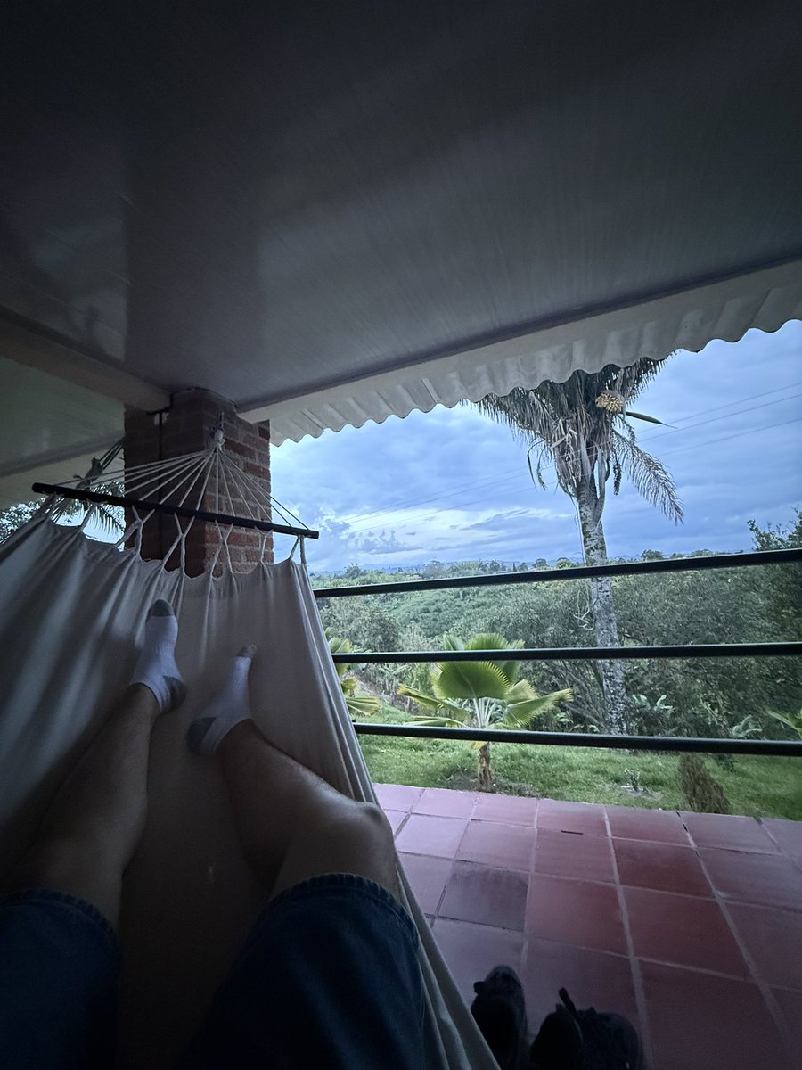 lucaalux's tweet photo. such a shame no one’s there to take my socks off and worship my feet #feet #feetworship #feetfetısh #socks https://t.co/ioIp1GozkA