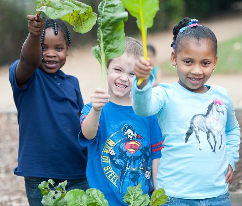 USDA_FNS's tweet image. 🎉Great news! The first round of the 2026 Patrick Leahy Farm to School grantees have been selected from a record-breaking number of applicants! Plus, states can now apply for $20M in NSLP Equipment Assistance Grants. Details: fns.usda.gov/newsroom/fns-0…  #FarmToSchool #MAHA