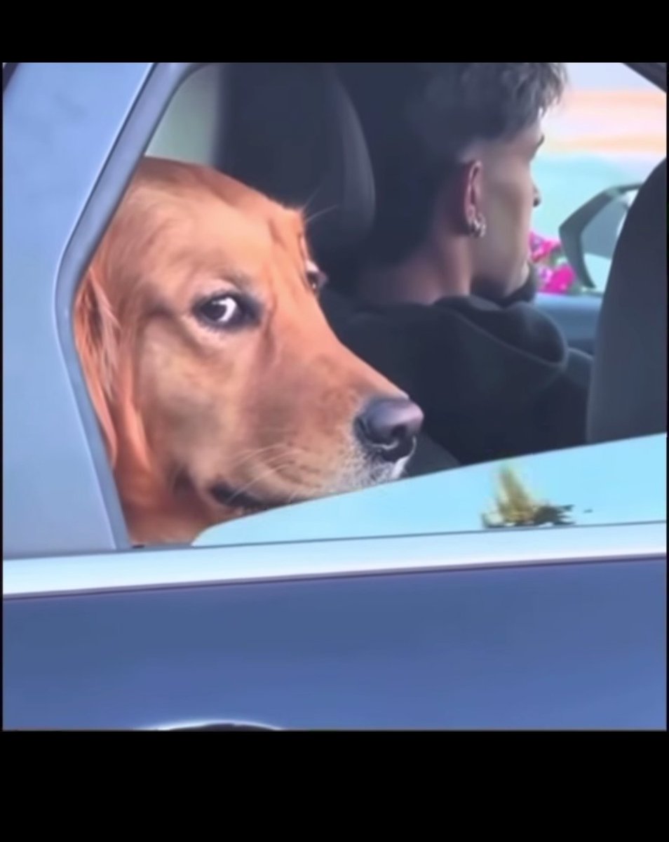 iti malias tweet media