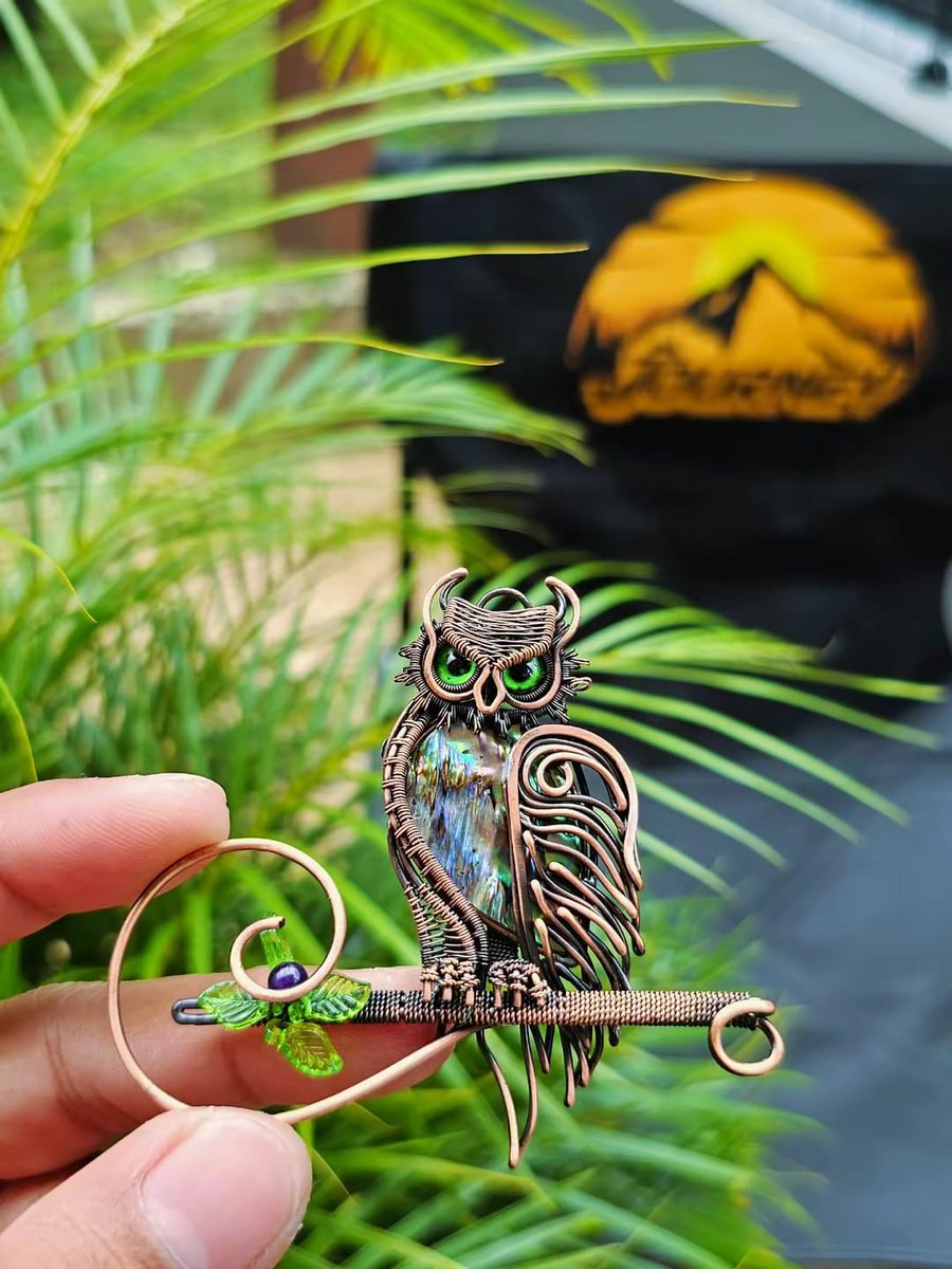 dhullart21's tweet photo. Various designs of owl-shaped wire-wrapped pendants 😍🦉 https://t.co/2jfNlKM1q0