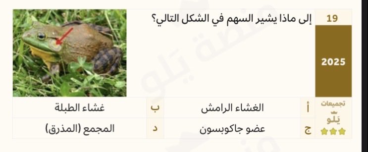 حازم tweet media