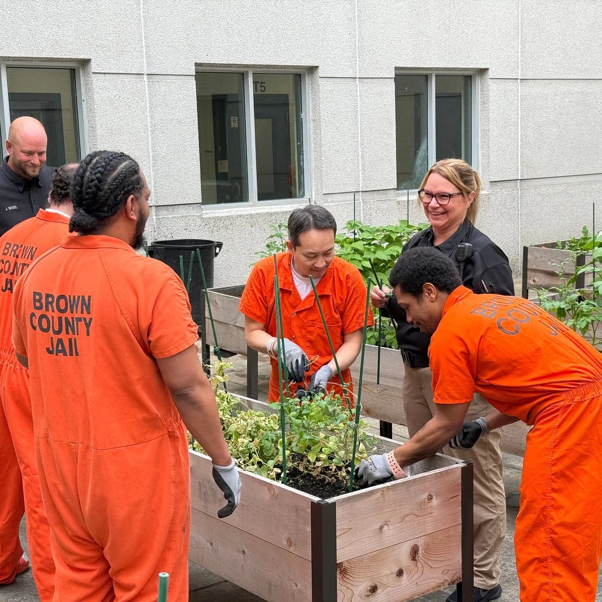 Carlos Flores Juberías tweet media