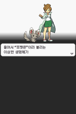 정나연 tweet media