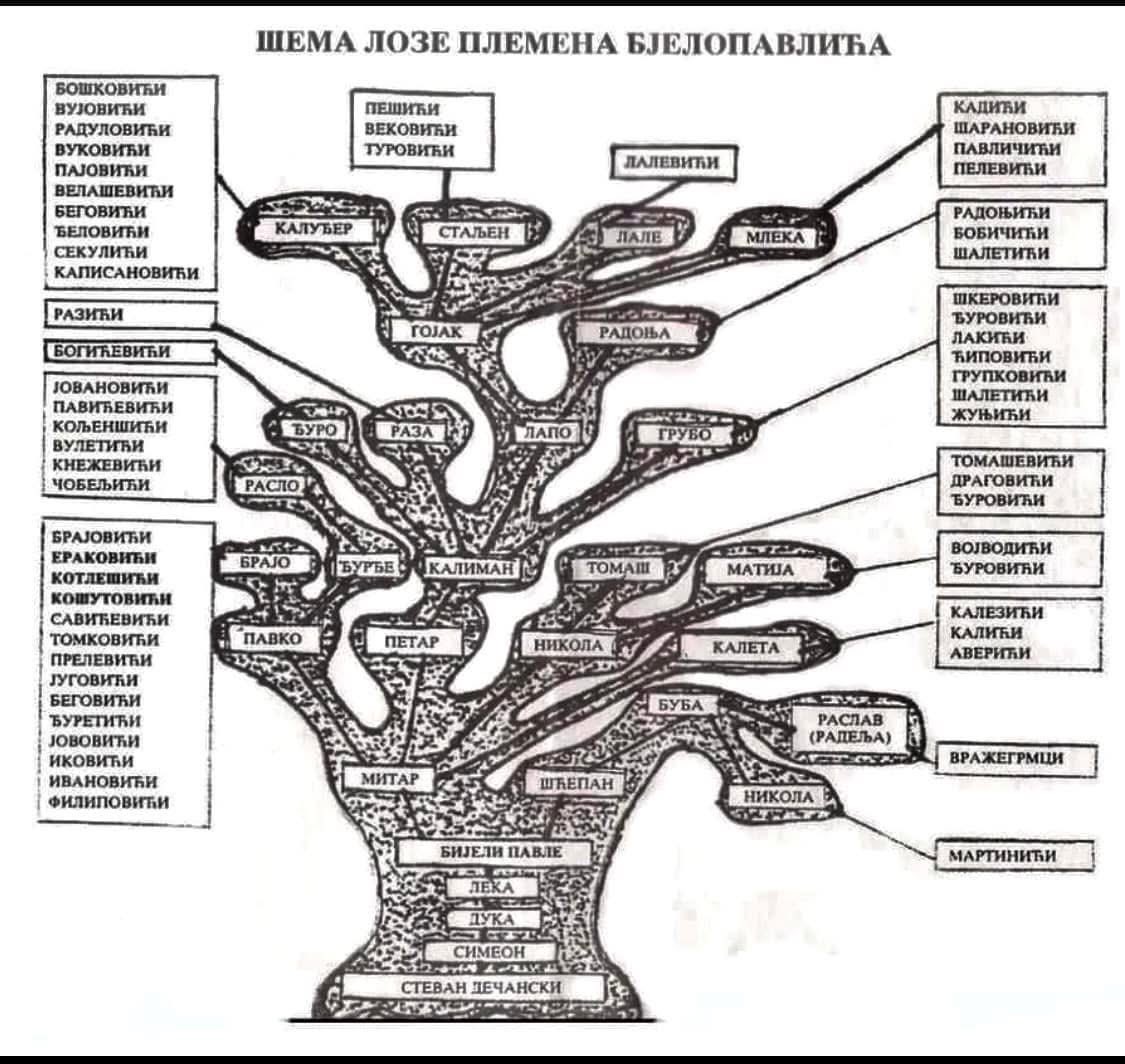 shefqet cakiqi tweet media