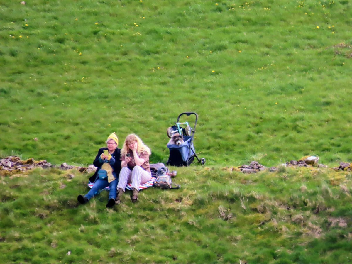 Martin Gathercole🐦X🐦 tweet media