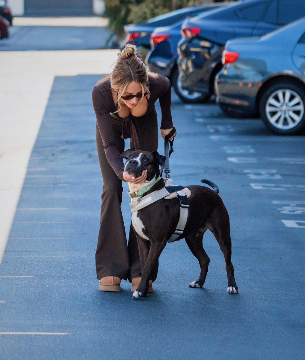 Chicks in the Office tweet media