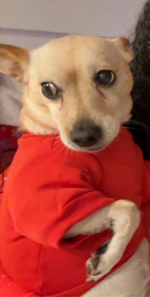 chris towers tweet media