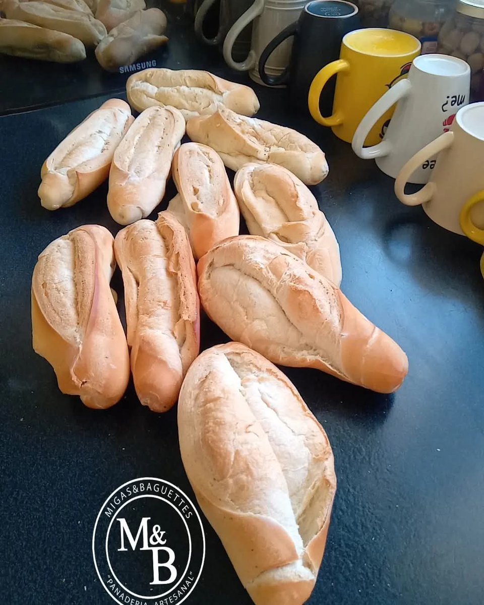 migasybaguettes's tweet photo. Pan Francés de la casa, pan de alocha😋
¡Así me salen!🔥
#panfrances
#pandealocha
#migasybaguettes https://t.co/tby4ZhCk9N