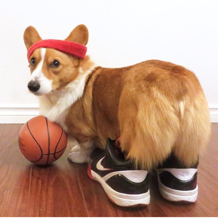 OLIVIERO FRANÇOISE tweet media