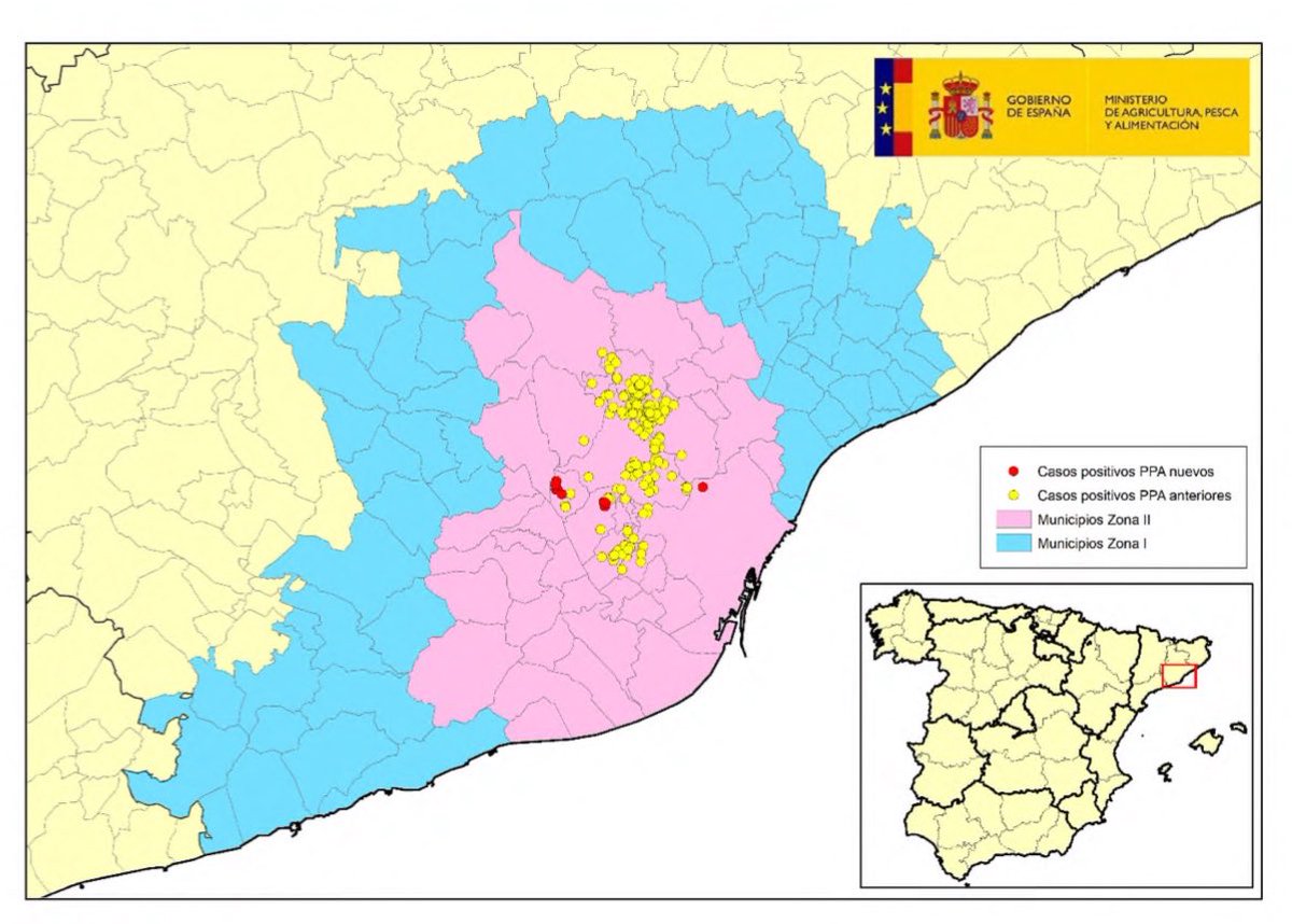 Jeannine Abella tweet media