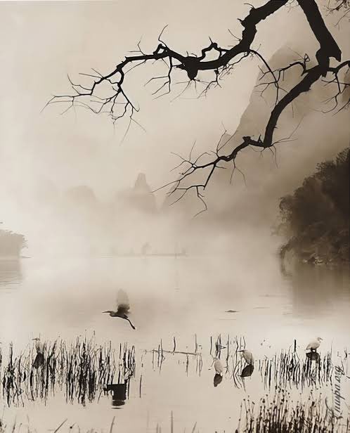 stjohnsphoto's tweet image. Don Hong-Oai #photography 
escapeintolife.com/photography/do…