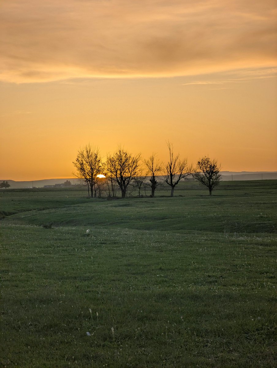 kyunghea kim tweet media