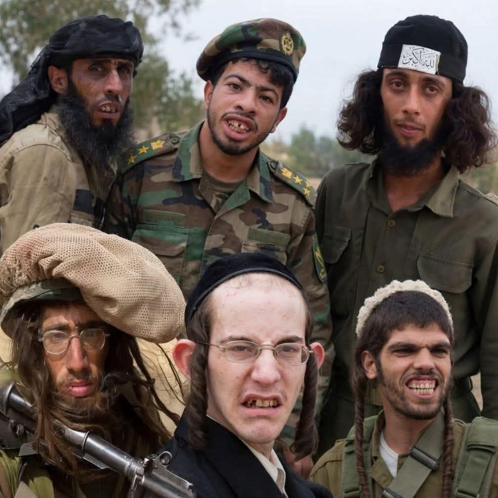 MaurizioDomenico loi tweet media