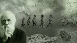 Okullarda eğer öfke kavga saldırı istemiyorsak tek çözümü var :

OKULLARDAN DARWİNİST EĞİTİMİ KALDIRMAK
DİNSİZ BİR BİLİM DİLİNİ DEĞİŞTİRİP DİNDAR BİR DİLE UYARLAMAKTIR✅

Başka çözüm yoktur‼️

#Kahramanmaraş