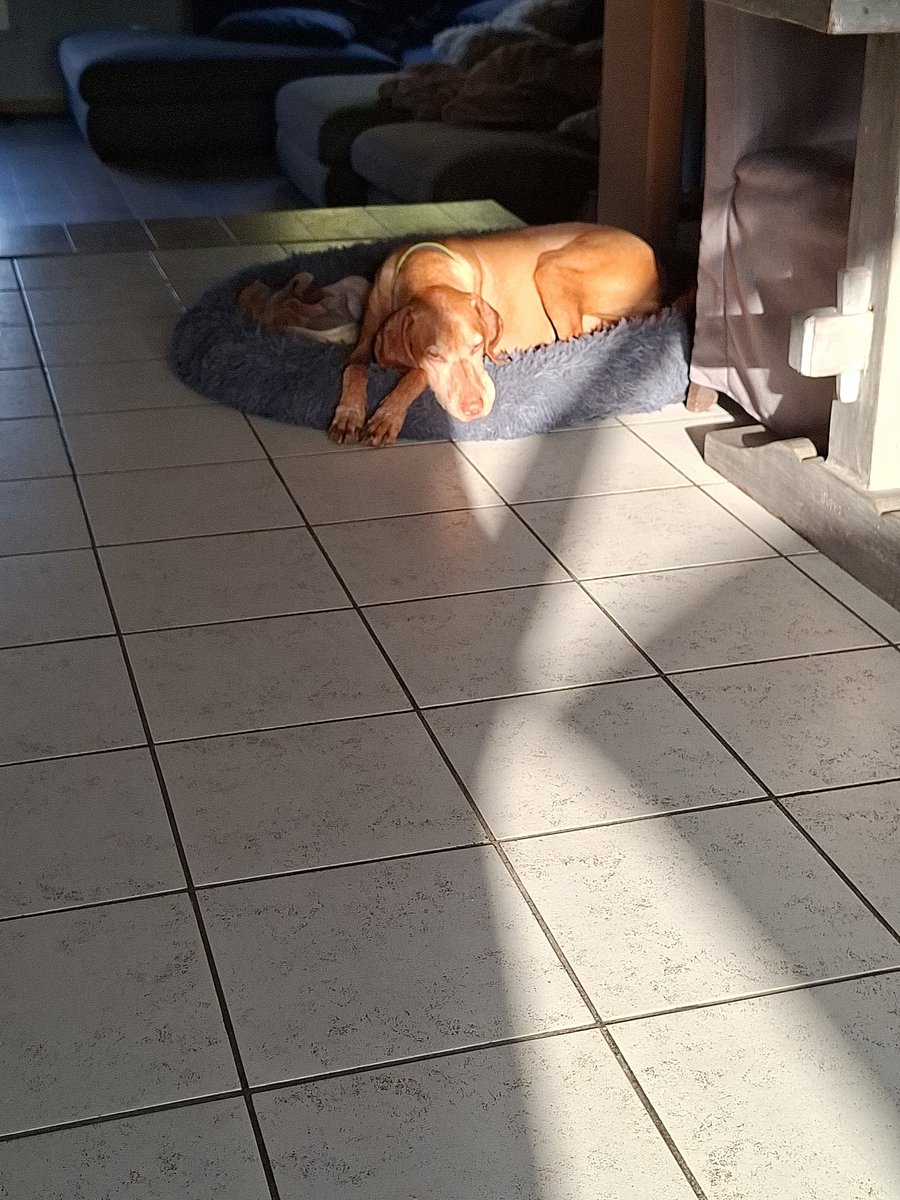 willy.... tweet media