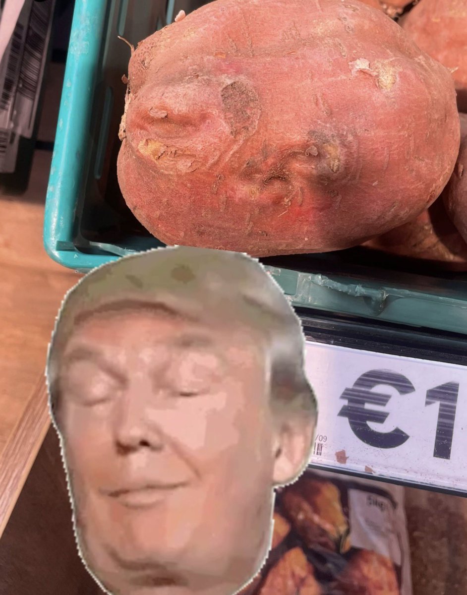 Maïa Dunphy tweet media