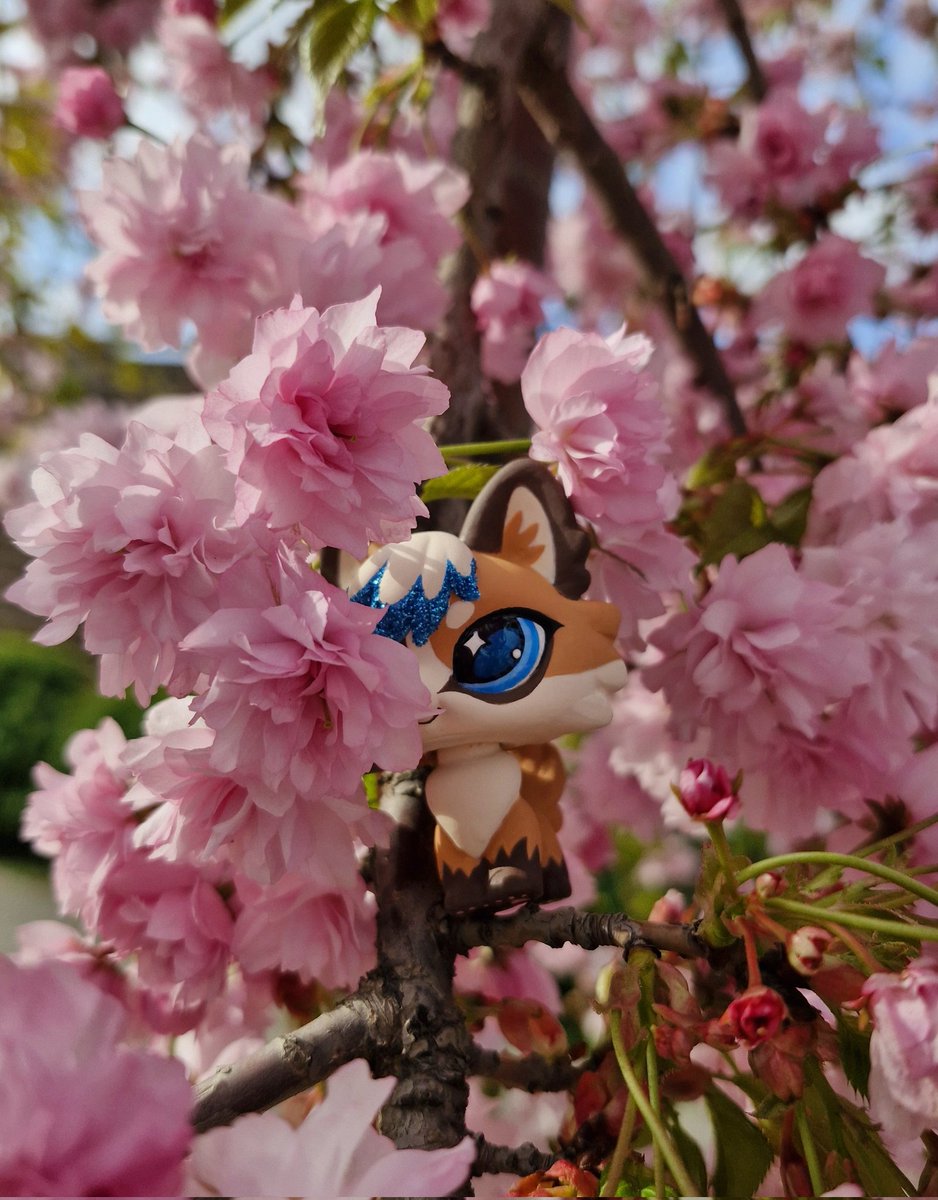 streyzhe's tweet image. ..meet my new character, Laffy 🌸🌿

#furry #fox #lps #littlestpetshop #ooak #custom