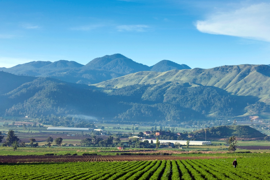 David Scott Harris tweet media