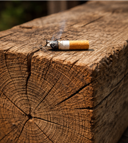 Jean Luc tweet media