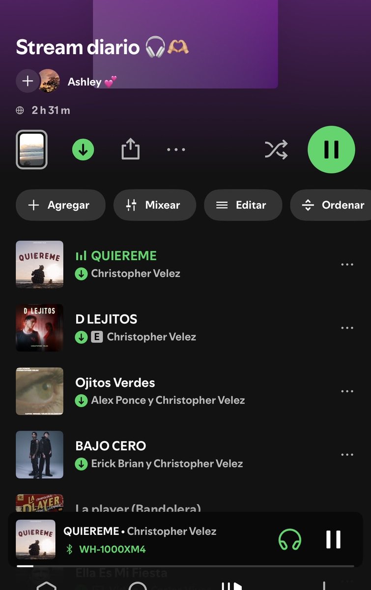 Mi playlist diaria, desde que empezó el año por lo menos una vez al día hay que reproducirla SI O SI! Y si puedo más veces mucho mejor 🫶🏼 y ahora con más razón voy a usarla si señor 🫡