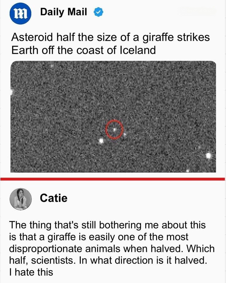 Wolf of X tweet media