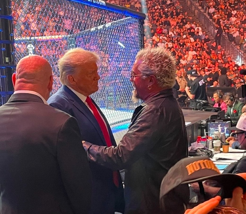 Maya Chamberlain tweet media