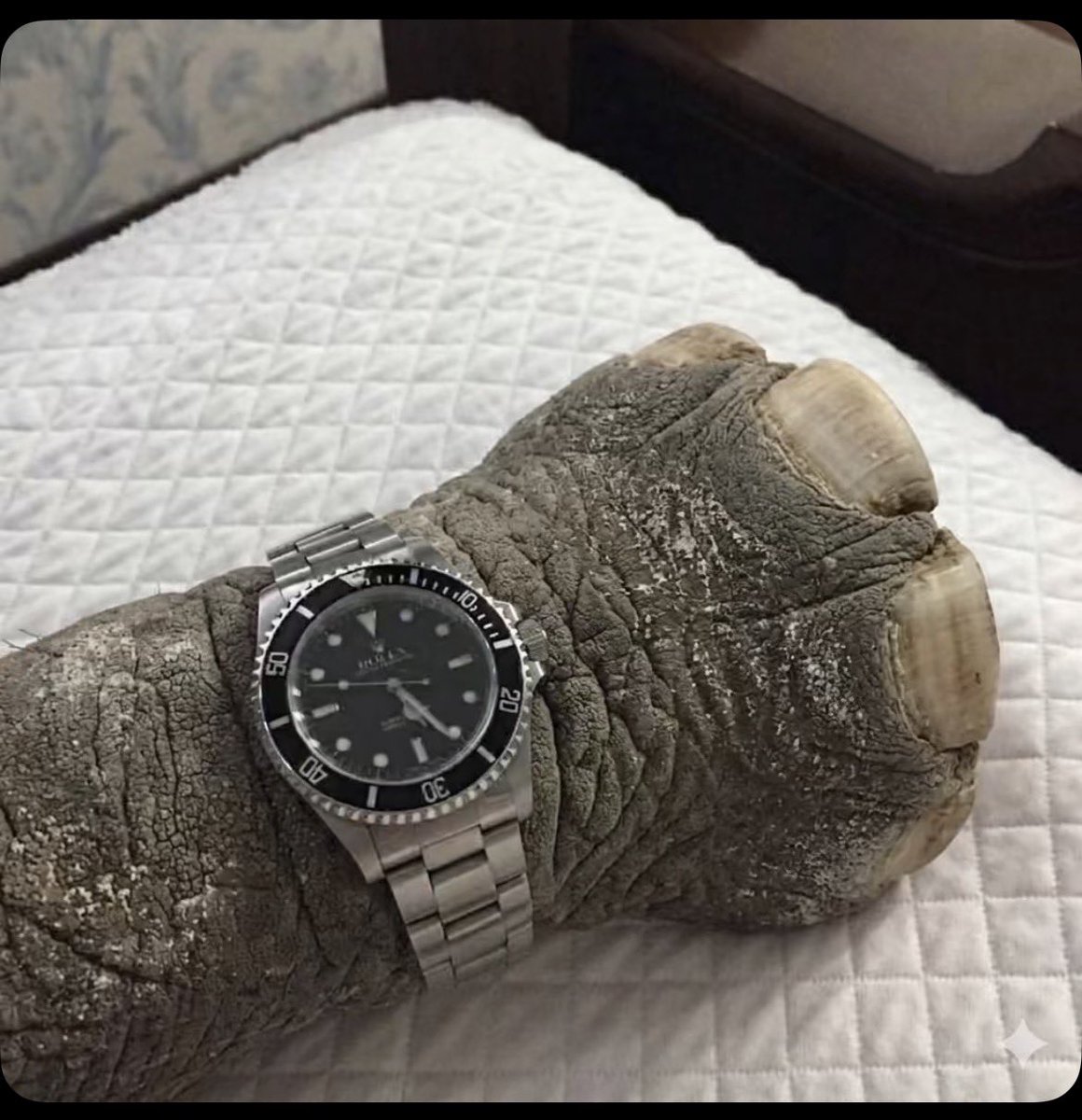 🧊👙 tweet media