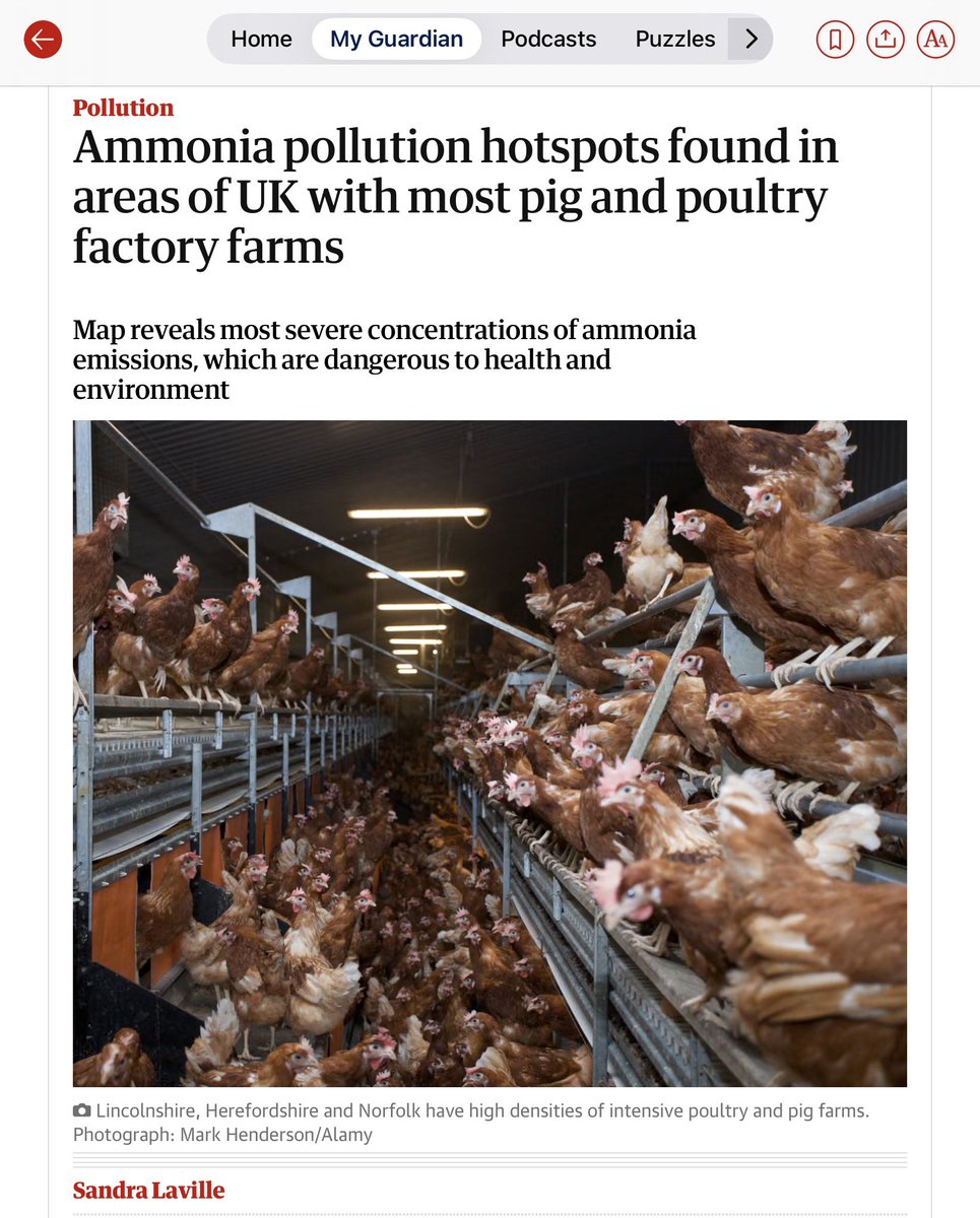 JillBelch's tweet image. So…… intensive pig &amp;amp;chicken farming is cruel.
It’s also harmful to our health.
Fine particulate matter formed from ammoniadrives heart disease, stroke, asthma &amp;amp; chronic lung conditions.
And it is our most vulnerable patients who pay the price
#AirPollution