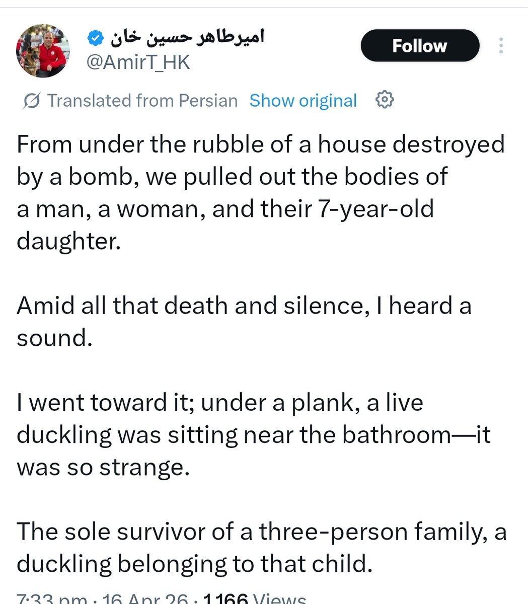 Soureh 🟩☫🟥 tweet media