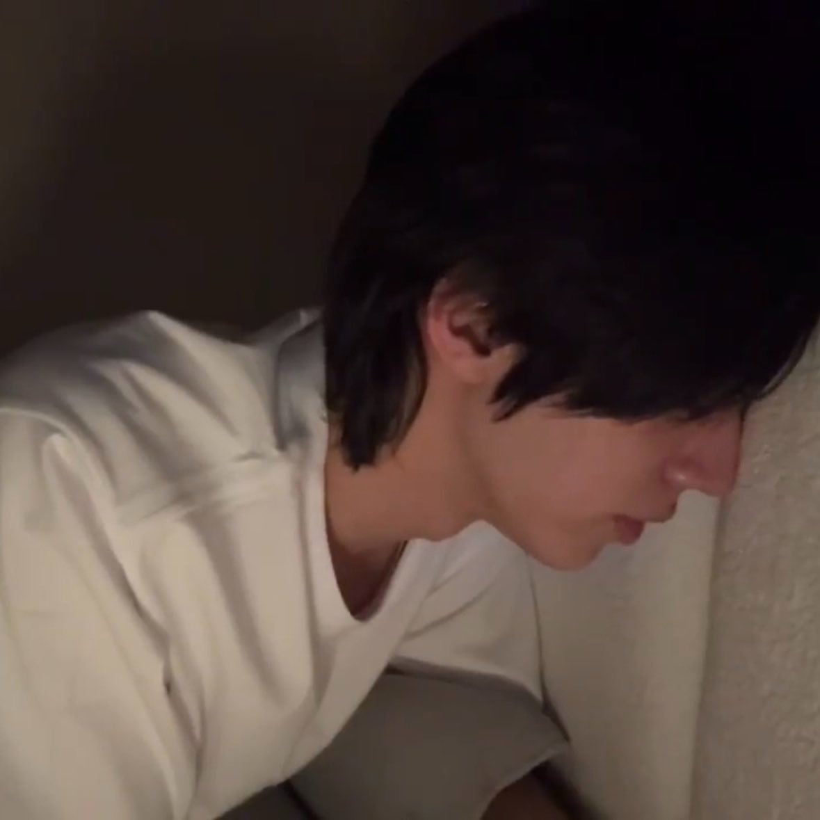 고고마🍠 tweet media