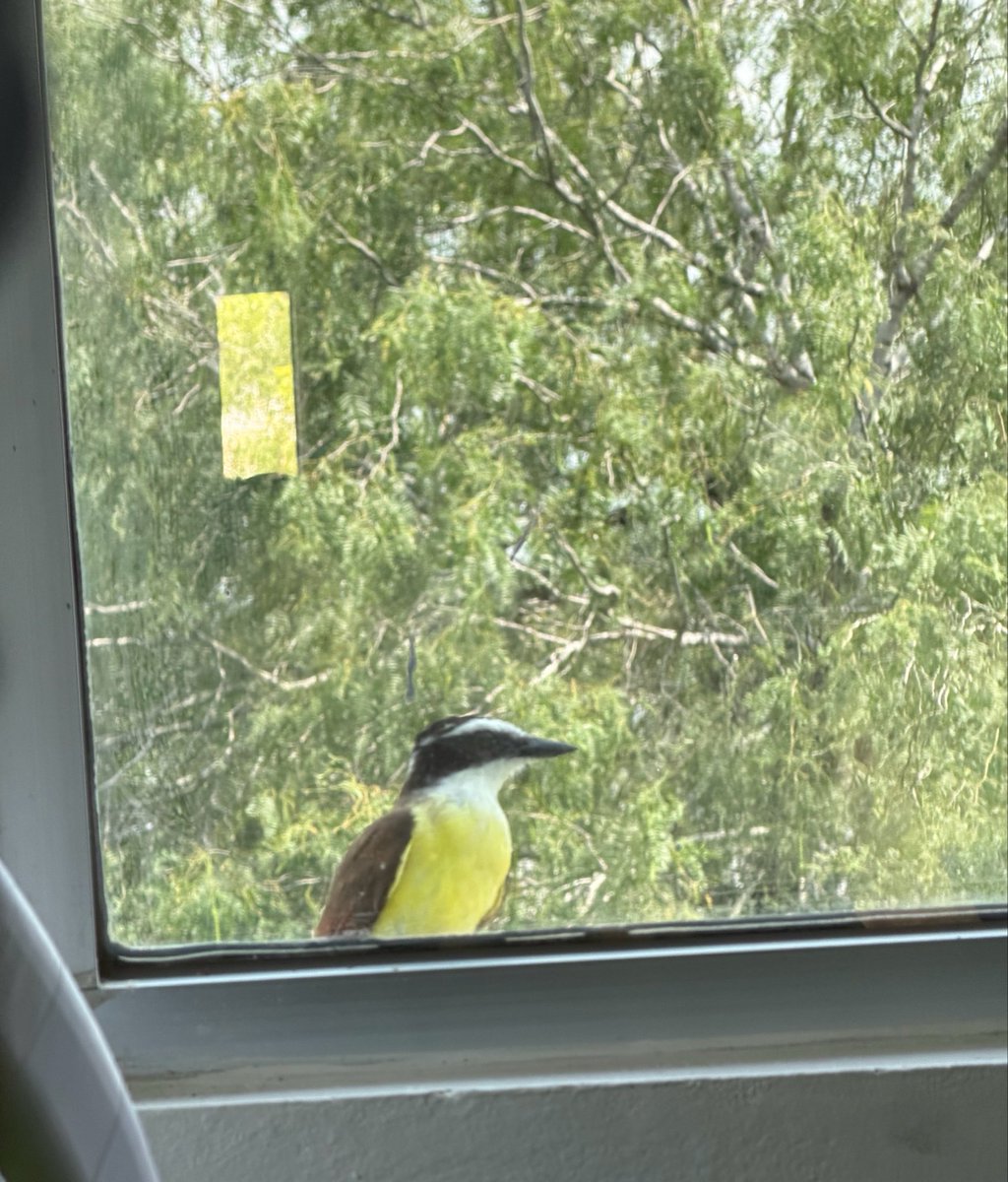 sopi 🍜 is seeing BTS tweet media