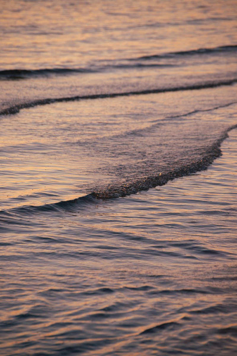 diego jasa tweet media