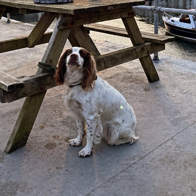 chris towers tweet media