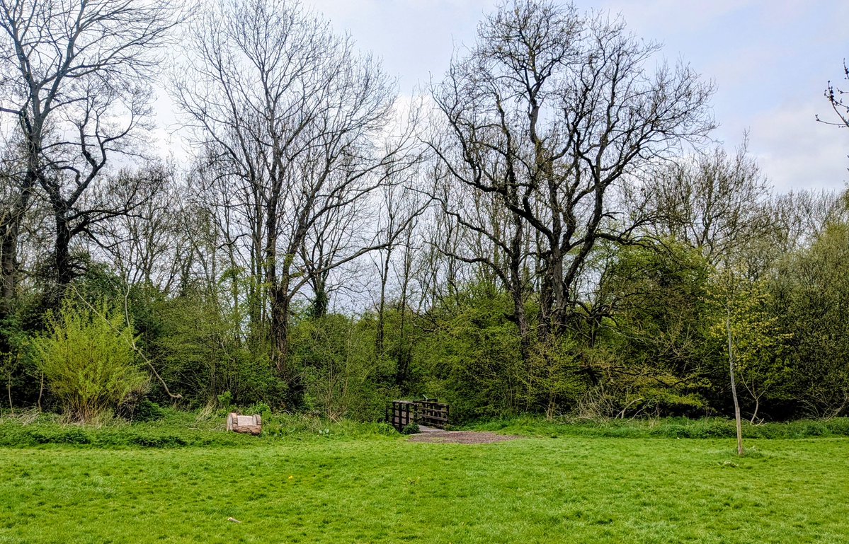 clairevhill's tweet image. My strolls today #Knowle #park #churchyard