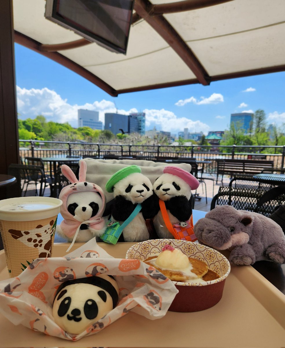 WestiePandaBff's tweet photo. 可愛いイロハちゃんとコブシくんに会ったら、ついぬいぐるみをお迎えしてしまった😅
ショップもコビトカバ推しですね🦛
ぬいぐるみは
 #Sunlemon 製品で可愛い🥰
パンダのもりに
シャガの花とタケノコが育っていました🪻🎋
碧峰峡と同じで嬉しい😁

#桜パンケーキ🌸🥞 と
筍パンダまん🐼で休憩です😋 https://t.co/3bz1oLFB5P